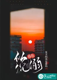 《似暮色沉溺》小说封面