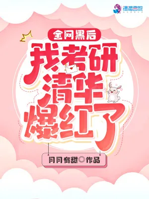 《全网黑后我考研清华爆红了》小说封面