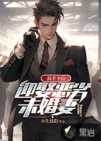 《高手下山：迎娶恶劣未婚妻》小说封面
