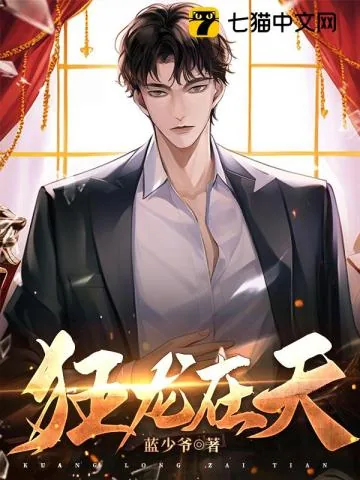 《狂龙在天》小说封面