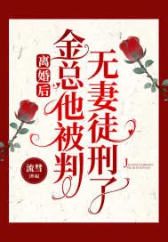 《离婚后，金总他被判无妻徒刑了》小说封面
