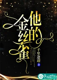 《他的金丝雀》小说封面