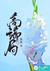 《高端局》小说封面