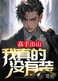 《高手出山：我真的没有装》小说封面