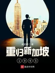 《重归新加坡1995》小说封面