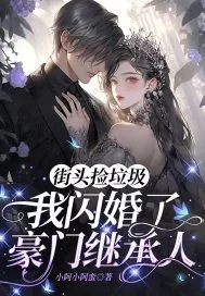 《街头捡垃圾,我闪婚了豪门继承人》小说封面