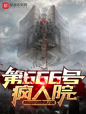 《第666号疯人院》小说封面