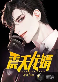 《震天龙婿》小说封面