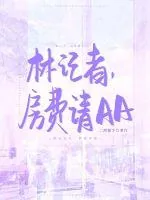 《林记者，房费请AA》小说封面