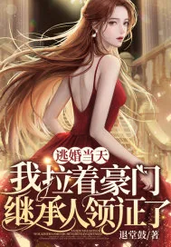 《逃婚当天，我拉着豪门继承人领证了》小说封面