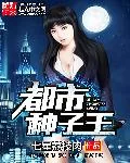 《都市种子王》小说封面