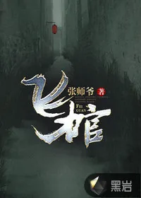 《飞棺》小说封面