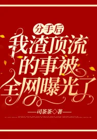 《分手后，我渣顶流的事被全网曝光了》小说封面