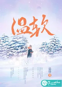 《温软》小说封面