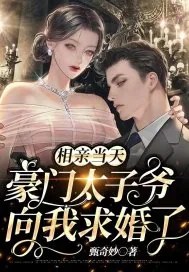 《相亲当天，豪门太子爷向我求婚了》小说封面