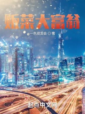 《贩菜大富翁》小说封面