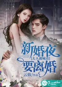 《新婚夜，夫人就喊着要离婚》小说封面