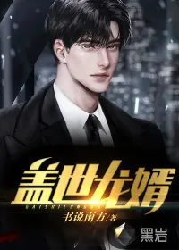 《盖世龙婿》小说封面