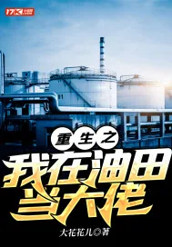 《重生之我在油田当大佬》小说封面