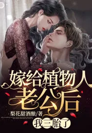 《嫁给植物人老公后，我三胎了》小说封面