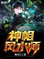 《神相风水师》小说封面
