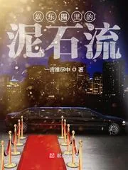 《娱乐圈里的泥石流》小说封面