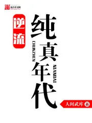 《逆流纯真年代》小说封面
