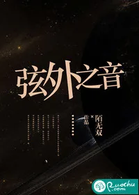 《弦外之音》小说封面