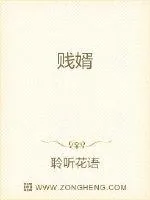 《贱婿》小说封面