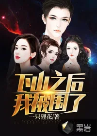《下山之后，我被围了》小说封面