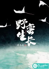 《野蛮生长》小说封面