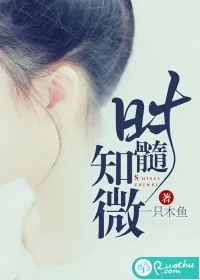 《时髓知微》小说封面