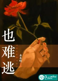 《也难逃》小说封面