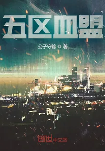 《五区血盟》小说封面