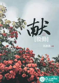 《献殷勤》小说封面