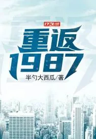 《重返1987》小说封面