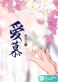 《爱慕》小说封面