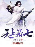 《天上第七》小说封面