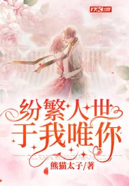 《纷繁人世,于我唯你》小说封面