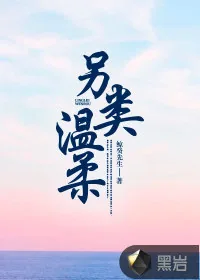 《另类温柔》小说封面