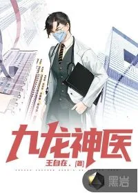 《九龙神医》小说封面
