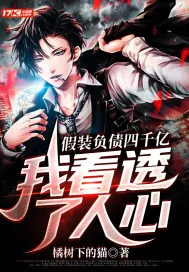 《假装负债四千亿,我看透了人心》小说封面