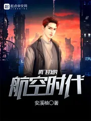 《腾飞我的航空时代》小说封面