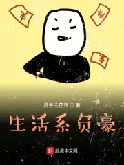 《生活系负豪》小说封面