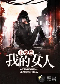 《不要惹我的女人》小说封面