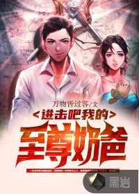 《进击吧，我的至尊奶爸》小说封面