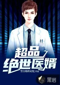 《超品绝世医婿》小说封面