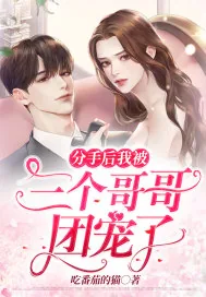 《分手后我被三个哥哥团宠了》小说封面