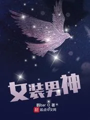 《女装男神》小说封面