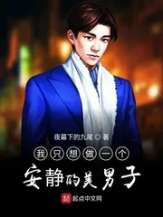 《我只想做一个安静的美男子》小说封面
